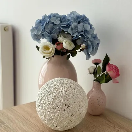 Goats Of 아파트 *